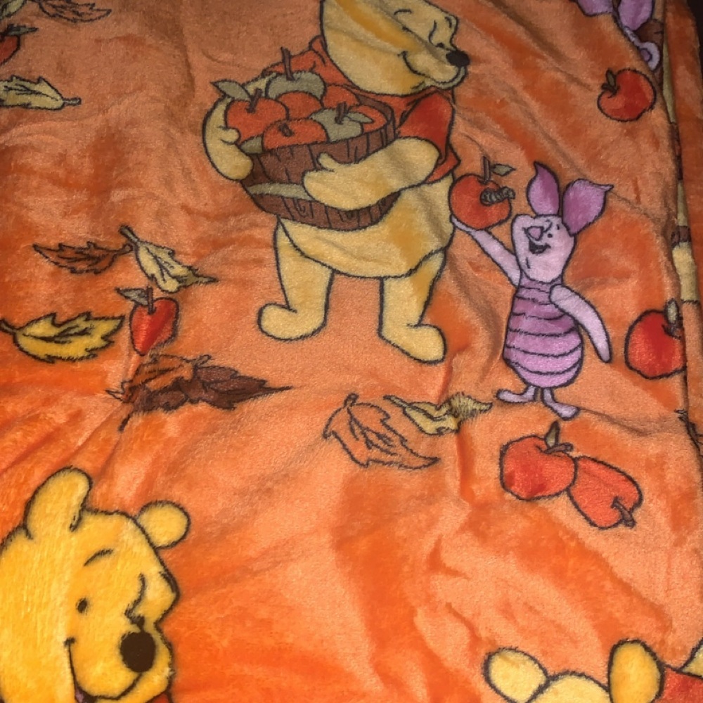 Winnie the Pooh Orange Blanket
